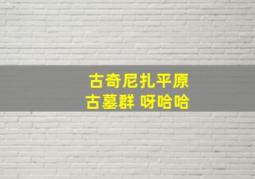 古奇尼扎平原古墓群 呀哈哈